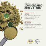 Four Leaf Rover Green Rover - Dog Greens Powder