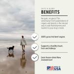 Four Leaf Rover Guts & Glory Freeze-Dried Dog Organs