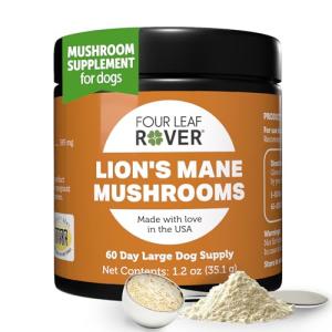 Lion's Mane Mushrooms for Dogs - Brain Support