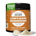 Lion's Mane Mushrooms for Dogs - Brain Support