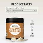 Lion's Mane Mushrooms for Dogs - Brain Support