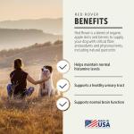 Four Leaf Rover Red Rover Dog UTI Support