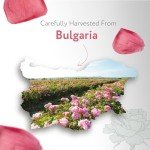 HBNO California Bottled Organic Rose Water for Face 4 fl oz (120ml) - USDA Certified Organic Rose Water Spray for Face - Pure Rose Water for Hair - Rosewater Face Mist, Rose Water Spray for Cleansing