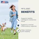 Hip & Joint Supplement for Dogs with Curcumin