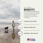 Four Leaf Rover Dog Collagen with Chondroitin