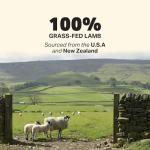 Four Leaf Rover Lamb Dog Treats - Freeze-Dried Liver