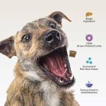 Four Leaf Rover Lamb Dog Treats - Freeze-Dried Liver