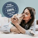 Four Leaf Rover Lamb Dog Treats - Freeze-Dried Liver