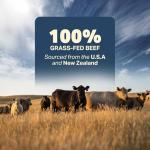 Beef Heart Dog Treats - Grass-Finished Raw Snack