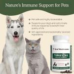 Turkey Tail Mushroom Capsules for Pets – 90 ct