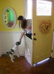 Smart Retract 28" Retractable Door Barrier for Pets