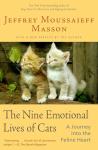 Understanding Your Cat's Emotional World