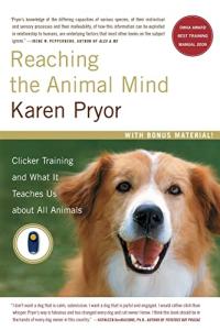 Unlock Animal Communication: Clicker Training Insights