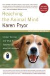 Unlock Animal Communication: Clicker Training Insights
