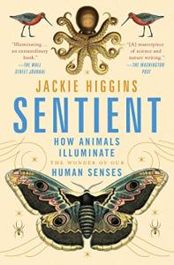 Animals and Our Senses: A Holistic Journey