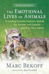 Understanding Animal Emotions: Joy, Sorrow, Empathy