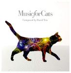 Calming Music for Relaxed Cats