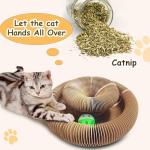Reversible Infinity Cat Toy in Eco-Friendly Cardboard