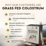 Grass Fed Beef Colostrum Powder Packets – Immune & Gut Support