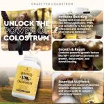 Grass Fed Beef Colostrum for Immune & Gut Health