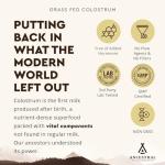 Grass Fed Beef Colostrum for Immune & Gut Health