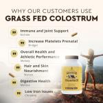 Grass Fed Beef Colostrum for Immune & Gut Health