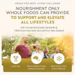 Grass Fed Beef Living Collagen Powder Supplement, 180 Caps