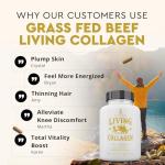 Grass Fed Beef Living Collagen Powder Supplement, 180 Caps