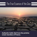 Le Marinier French Sea Salt Fine Ground, 1.1lb - 18oz. Mineral Rich. 100% Natural and Unrefined. Sea Salt Organic Vital Minerals Fine. Hand Harvested Mineral Salt (1.1lb Fine Ground)