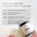 Qualia Creatine Complex for Muscle & Brain Health