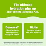 Collagen Defense Electrolyte Powder - Kiwi Strawberry