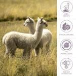 Alpaca Throw Blanket - Herringbone Rose 51x71 Inches