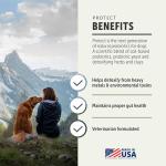 Four Leaf Rover Protect - Probiotics for Dogs - Veterinarian Formulated - with Natural Prebiotics and Antioxidants - Detoxification & Gut Health - 60 Day Large Dog Supply