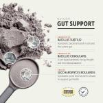 Four Leaf Rover Protect - Probiotics for Dogs - Veterinarian Formulated - with Natural Prebiotics and Antioxidants - Detoxification & Gut Health - 60 Day Large Dog Supply