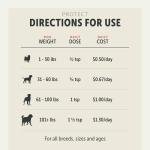 Four Leaf Rover Protect - Probiotics for Dogs - Veterinarian Formulated - with Natural Prebiotics and Antioxidants - Detoxification & Gut Health - 60 Day Large Dog Supply