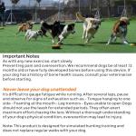 Dog Lure Coursing Machine for Agility Training