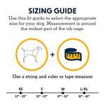 Ruffwear Approach Pack Dog Backpack - Blue Dusk