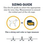 Ruffwear Palisades Dog Backpack with Hydration Bladders