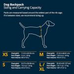 Dog Backpack with Saddlebags - Ruffwear Day Pack