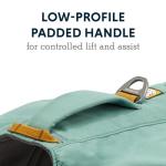 Dog Backpack with Saddlebags - Ruffwear Day Pack