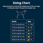 Ruffwear Confluence Dog Life Jacket, Biolumin Blue