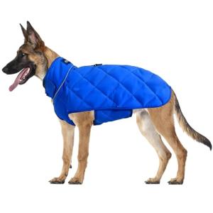 Weighted Dog Vest for Anxiety Relief and Muscle Building