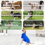 Weighted Dog Vest for Anxiety Relief and Muscle Building