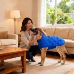 Weighted Dog Vest for Anxiety Relief and Muscle Building