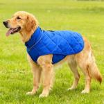 Weighted Dog Vest for Anxiety Relief and Muscle Building