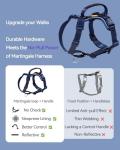 DF Freedom No Pull Dog Harness, Gentle Control