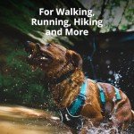 Ruffwear, Flag line Dog Harness, Lightweight and Reflective, No Pull Dog Lift Harness for Hiking, Running and Everyday Use, Alpenglow Pink, Medium