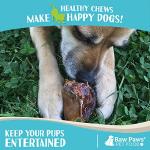 Smoked Beef Kneecaps for Dogs, 5-Count