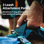 Ruffwear, Flag line Dog Harness, Lightweight and Reflective, No Pull Dog Lift Harness for Hiking, Running and Everyday Use, Alpenglow Pink, Medium