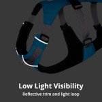 Ruffwear, Flag line Dog Harness, Lightweight and Reflective, No Pull Dog Lift Harness for Hiking, Running and Everyday Use, Alpenglow Pink, Medium